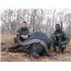 Image 1 : BUBYE VALLEY: 10-Day Cape Buffalo Hunt for One Hunter in Zimbabwe - Includes Trophy Fee