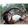 Image 1 : SHIKAR: 9-Day Anatolian Bezoar Ibex Hunt for Two Hunters in Turkey - Includes Trophy Fees