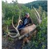 Image 1 : NORTH RIM: 5-Day Rocky Mountain Elk Hunt for One Hunter and One Non-Hunter in Colorado - Includes Tr