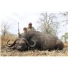 Image 1 : LEGENDARY CONSORTIUM: 10-Day Dangerous Game Safari for One Hunter and One Non-Hunter in Zambia - Inc