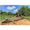 Image 1 : 4ACES OUTFITTERS: 5-Day Nile Crocodile Hunt for Two Hunters in South Africa - Includes Trophy Fees