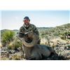 Image 1 : RANCHO LA GUARIDA: 10-Day Desert Bighorn Sheep Hunt for One Hunter and Two Non-Hunters in Chihuahua,