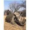 Image 1 : THWANE SAFARIS: 14-Day White Rhino Hunt and Conservation Experience for One Hunter and Three Observe