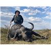 Image 1 : GAME TRACKERS: 12-Day Cape Buffalo Hunt for One Hunter in the Selous Game Reserve of Tanzania - Incl