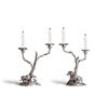 Image 1 : PATRICK MAVROS: Sterling Silver Table Centerpiece by Patrick Mavros