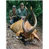 Image 1 : MAYO OLDIRI: 14-Day Bongo and/or Sitatunga Safari for One Hunter and One Non-Hunter in the Cameroon