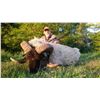 Image 1 : CERRO INDIO: 5-Day Feral Goat and Ram Hunt for Four Hunters in Argentina - Includes Trophy Fees