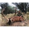 Image 1 : TGB OUTFITTERS: 7-Day Red Stag and European Boar Hunt for Two Hunters in Argentina - Includes Trophy