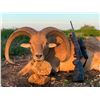 Image 2 : 777 RANCH: 4-Day Exotic Game Hunt for Two Hunters and Two Non-Hunters in Texas - Includes Trophy Fee
