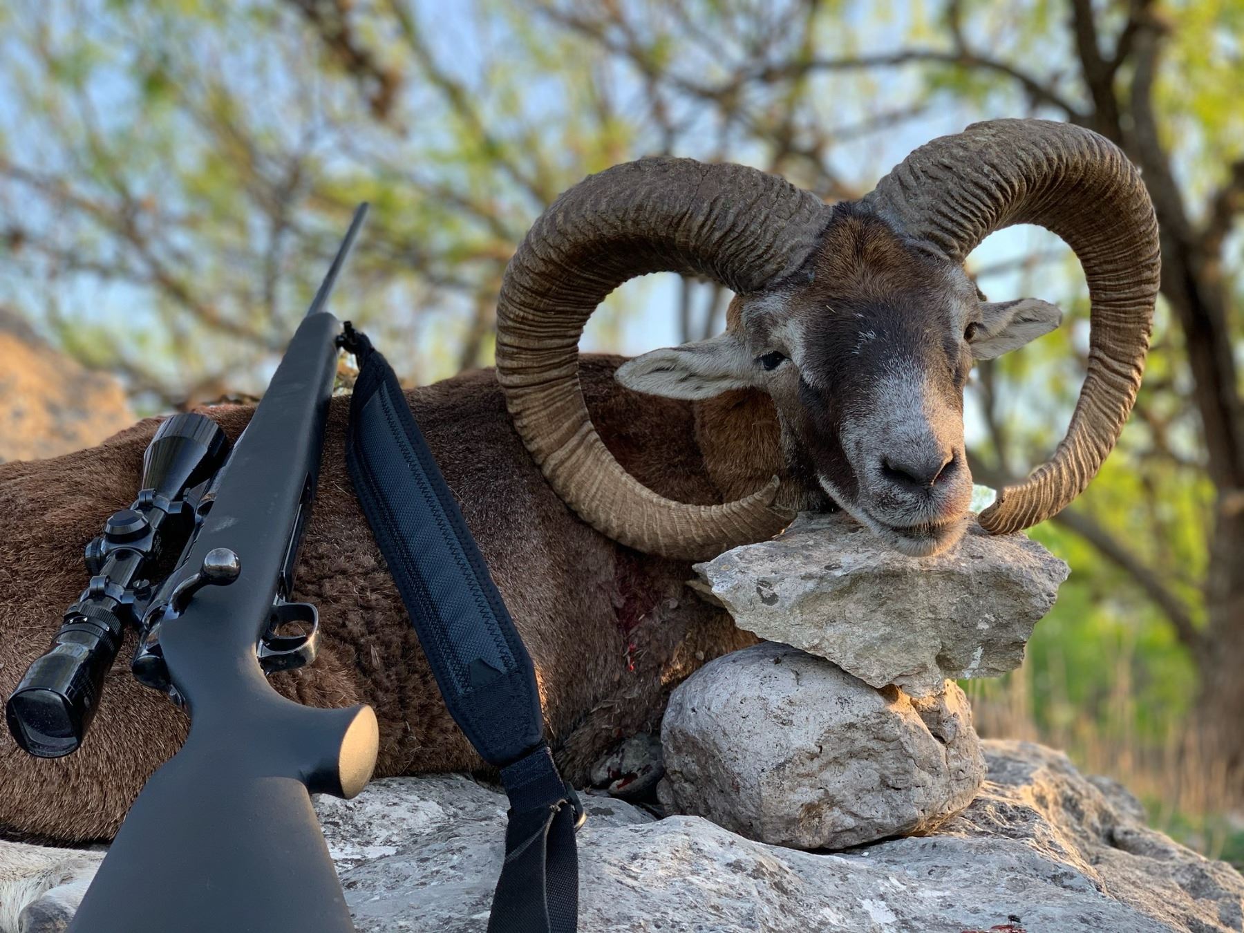 777 RANCH: 4-Day Exotic Game Hunt for Two Hunters and Two Non-Hunters ...