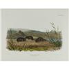Image 1 : Audubon Imperial Quadruped Print Meadow Mouse