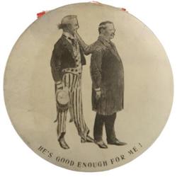 Lg. Theodore Roosevelt Celluloid Campaign Button