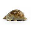 Image 1 : Zuni Picasso Marble Mole Fetish by Fred Weekoty
