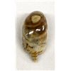 Image 5 : Zuni Picasso Marble Mole Fetish by Fred Weekoty