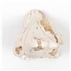 Image 7 : Mexican Fire Opal Eagle Carving