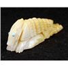 Image 4 : Zuni Carved Mother of Pearl Armadillo Fetish