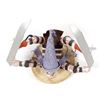 Image 6 : Native American Navajo Koshare Kachina by V. Wood