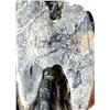 Image 8 : Zuni Picasso Marble Roadrunner Fetish by Brian Yatsattie