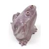 Image 6 : Zuni Frog and Bird Fetish, Ricky Laahty