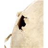 Image 2 : Rare Antique Native American Hide Drum