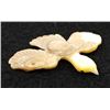 Image 1 : Zuni Mother of Pearl Bird Fetish Pendant, Laahty