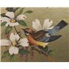 Image 3 : Bird Picture by William Whiteside