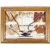 Image 1 : Navajo Dye Chart by Rose Washburn of Shiprock NM
