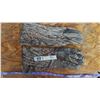 Image 1 : Fishing Cammo Gloves ( No Size(