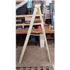 Image 2 : 6' Step Ladder