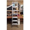 Image 1 : Extension Ladder
