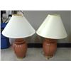 Image 1 : 2 Lamps with Shades