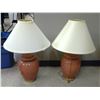 Image 1 : 2 Lamps with Shades