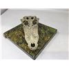 Image 2 : Exo Terra Crocodile Skull