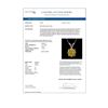 Image 4 : 1.21 ctw Certified Intense Yellow Diamond Necklace 10k White Gold - REF-196A4N