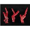 Image 1 : THREE PIECES BRANCH CORAL