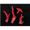 Image 1 : FOUR BRANCHES CORAL