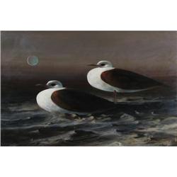 OIL RUSSELL FROST TWO SEAGULLS NORTHWEST