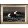Image 2 : OIL RUSSELL FROST TWO SEAGULLS NORTHWEST