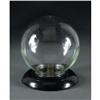 Image 1 : VINTAGE GLASS FLOWER GLOBE