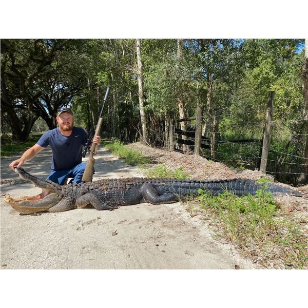 Florida Alligator up to 12'6" on over 300,000 acers