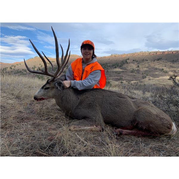 Fully Guided 5 day Colorado Mule Deer Hunt 2022