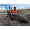 Image 1 : Fully Guided 5 day Colorado Mule Deer Hunt 2022