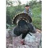 Image 3 : Colorado Turkey Hunt/ Walleye Fishing 2022 3 day 1 person