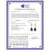 Image 2 : Genuine 5 ctw Amethyst Earrings 14KT Yellow Gold - REF-35W2Y