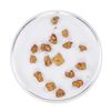 Image 2 : Lot of Gold Nuggets 3.03 Grams Total Weight