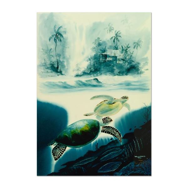 Wyland  Turtle Waters  Limited Edition Cibachrome