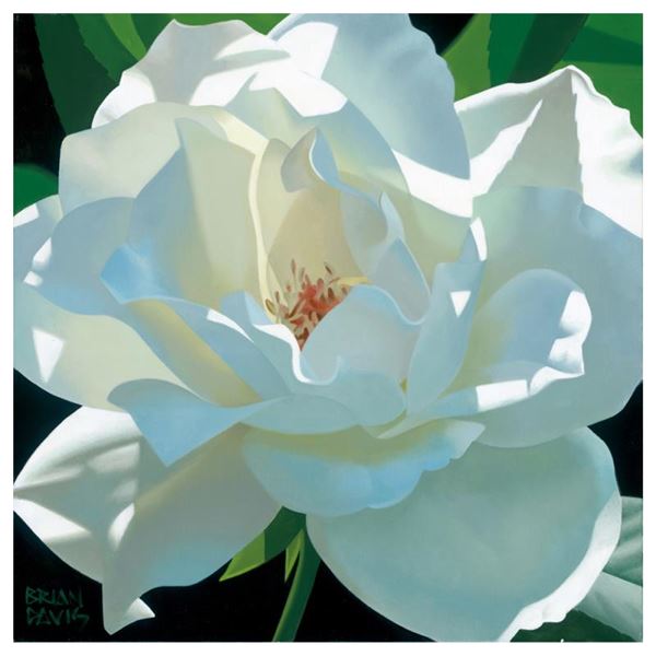 Brian Davis "Rose In The Shadows" Limited Edition Giclee on Canvas