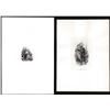 Image 1 : Lot of (2) 1800's Vignette from Original Proof Plates