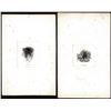 Image 1 : Lot of (2) 1800's Vignette from Original Proof Plates