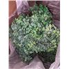 Image 2 : Two bags of greenery